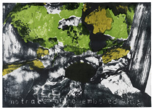 No Trace of Remembered Bliss